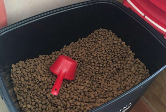 狗粮夏天可以放多长时间,狗粮储存不当感染细菌