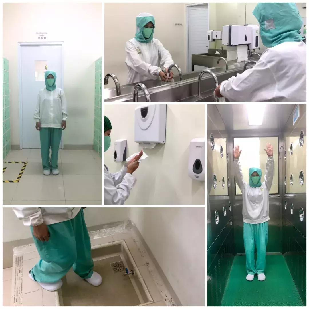 最全的燕窝知识科普,燕窝科普篇