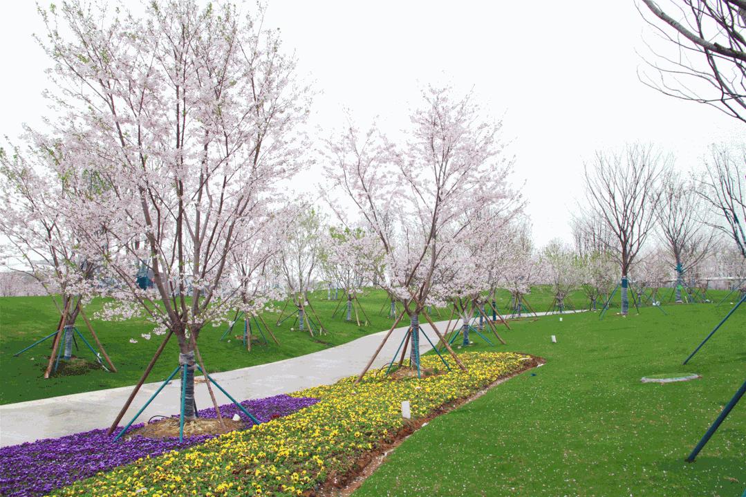 南京桥北滨江公园江边喷泉,南京滨江公园音乐喷泉开放时间