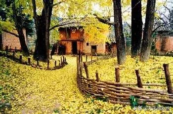 寻找广东最美古道秋景