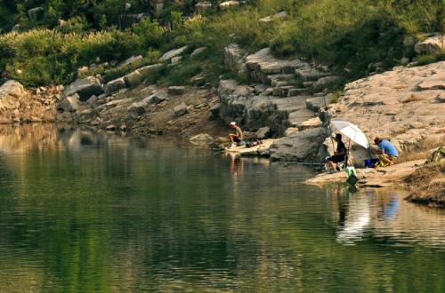 新手传统钓怎么选,写自己的经验怎么写