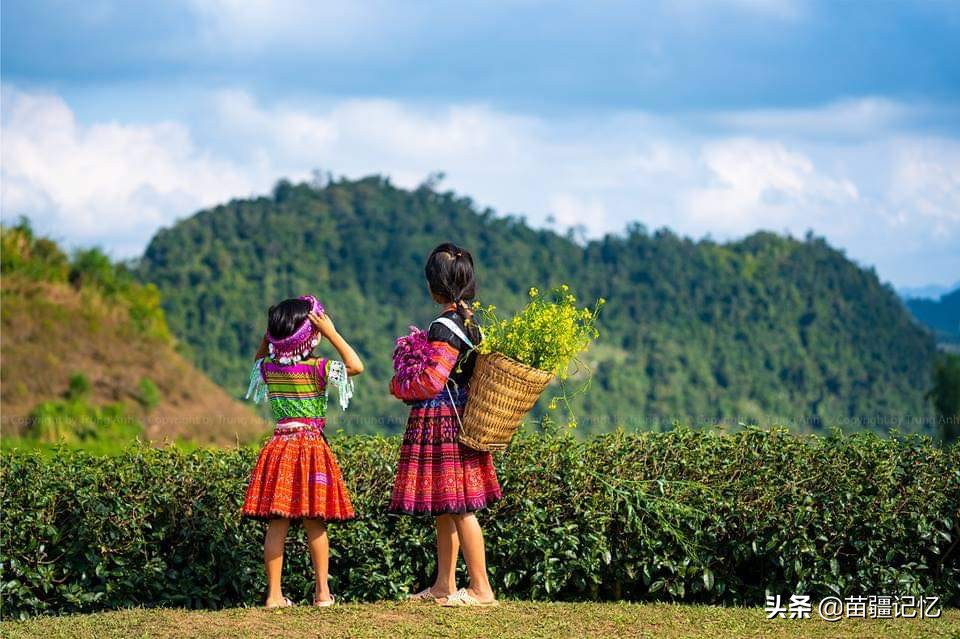 苗族女人早婚的痛苦,苗族早婚习俗