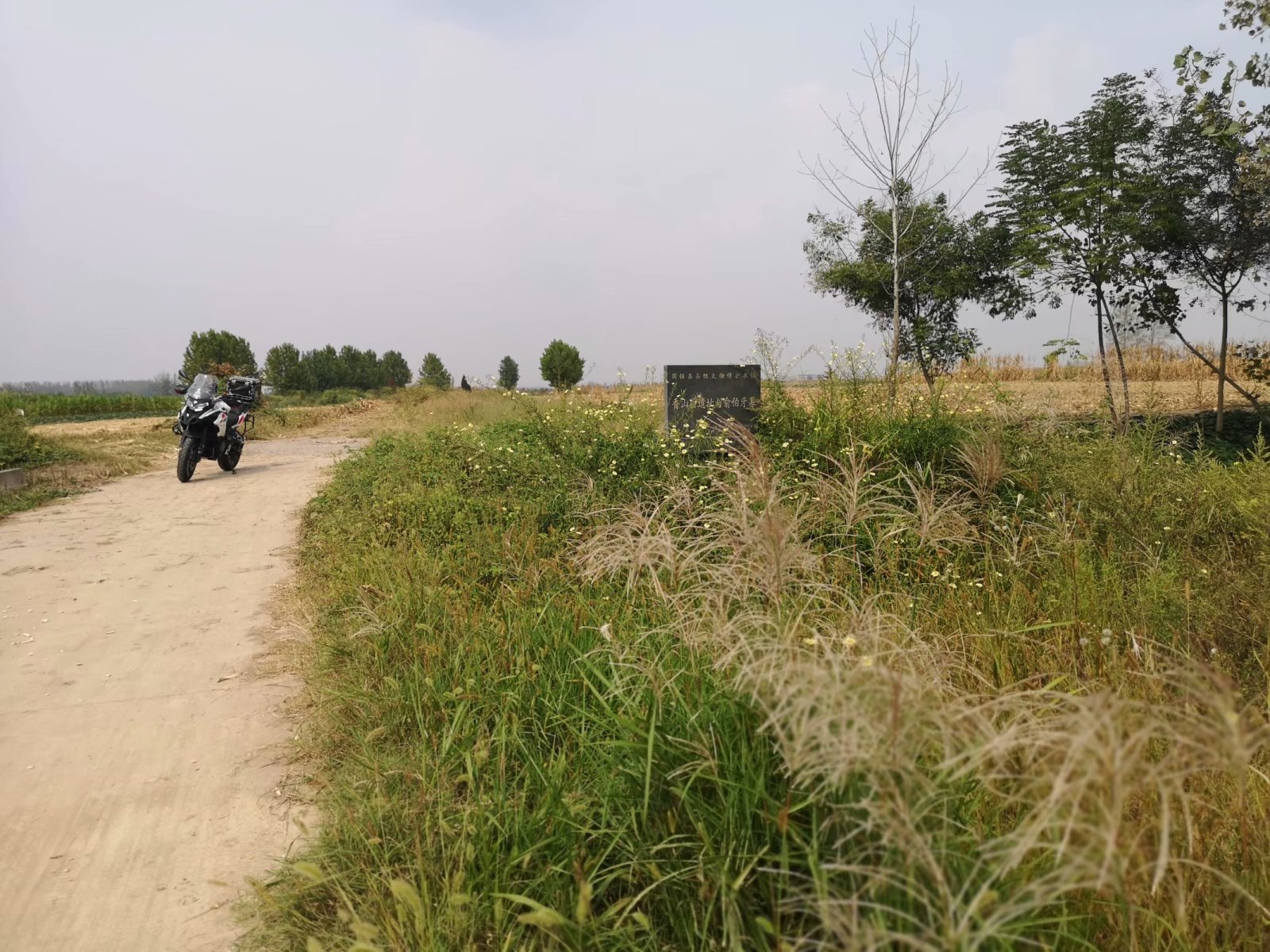 俞伯牙墓为什么在固镇,俞伯牙墓出土