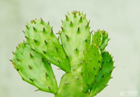 加盟项目受骗了怎么办,加盟创业如何防止被骗