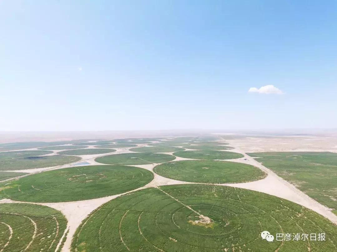 什么是圣牧有机奶,圣牧有机奶