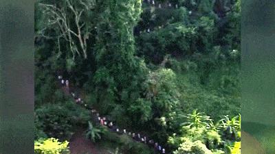 时隔26年再炸热搜，这次全网破防：太揪心