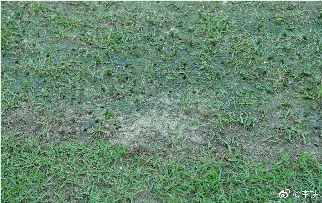 李铁谈延期:自己都觉得丢人球场运营商不能只想着赚钱