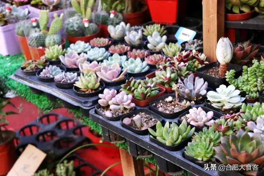 <html>
<head><title>502BadGateway</title></head>
<body>
<center><h1>502BadGateway</h1></center>
<hr><center>nginx</center>
</body>
</html>
<!--apaddingtodisableMSIEandChromefriendlyerrorpage-->
<!--apaddingtodisableMSIEandChromefriendlyerrorpage-->
<!--apaddingtodisableMSIEandChromefriendlyerrorpage-->
<!--apaddingtodisableMSIEandChromefriendlyerrorpage-->
<!--apaddingtodisableMSIEandChromefriendlyerrorpage-->
<!--apaddingtodisableMSIEandChromefriendlyerrorpage-->
