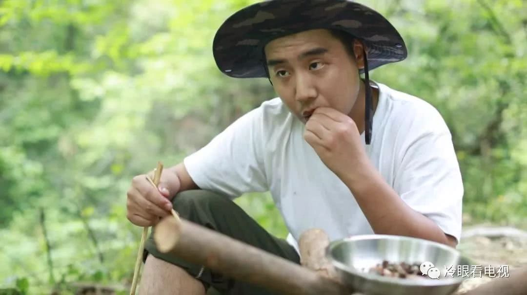 野生厨房深度解析,野生厨房都吃过哪些东西