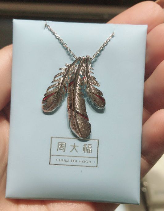 周大福最新款羽毛项链,周大福比较重的项链
