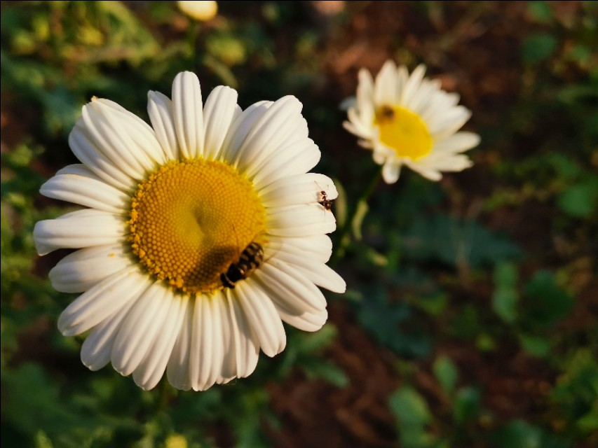 山东莒县重点发展,莒县近五年发展变化