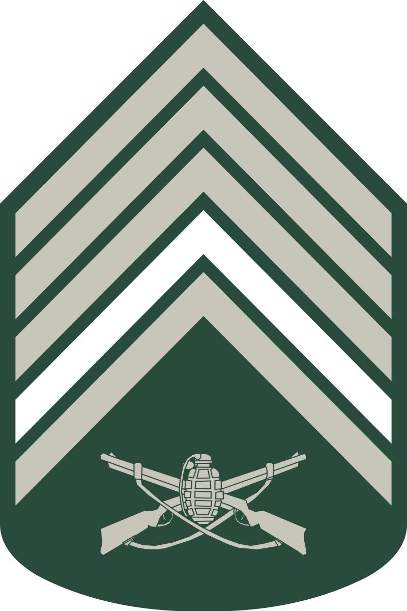 巴西军队标志,巴西海军军衔