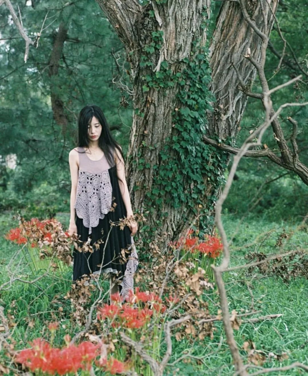 大阪攻略自由行,看惯了千篇一律的高楼大厦