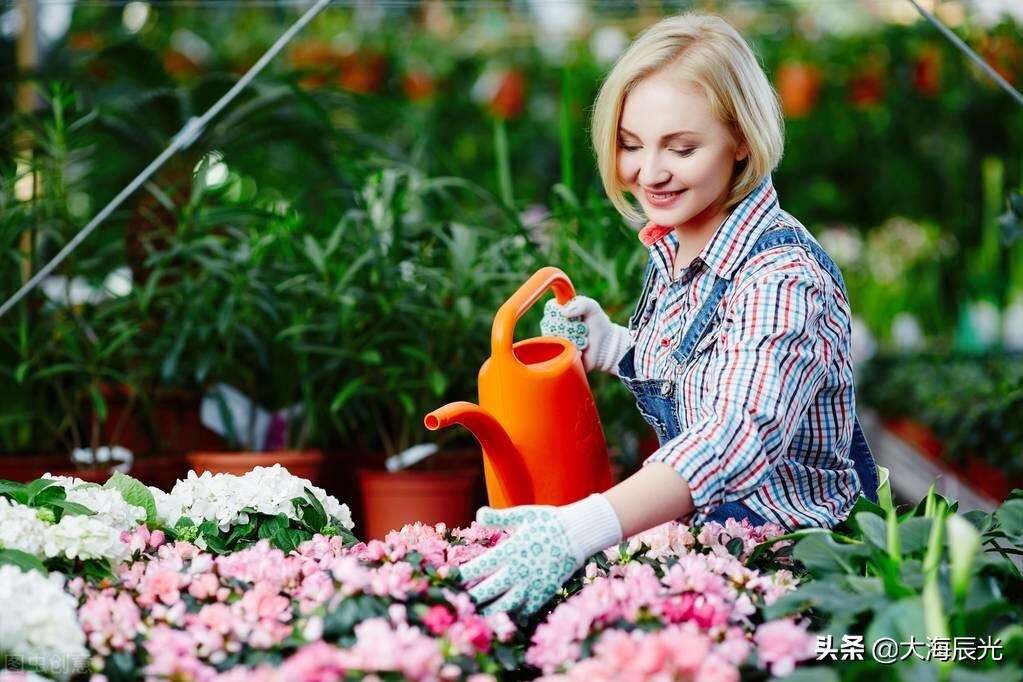 我想有个院子,我想拥有一个小院子