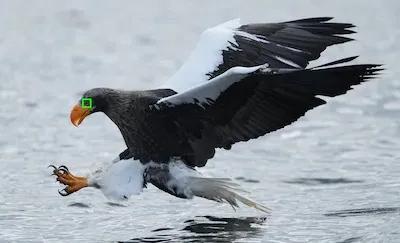 索尼全画幅微单仅15999元,索尼微单系列微单哪个性价比高