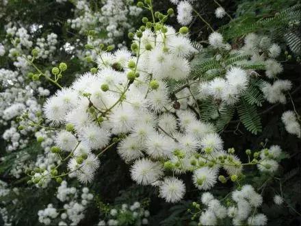 菲拉格慕香水怎么样好不好,菲拉格慕哪个香味好闻