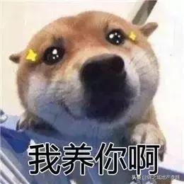 和朋友吵架了冷战怎么解决搞笑,和朋友吵架冷战想和解的视频