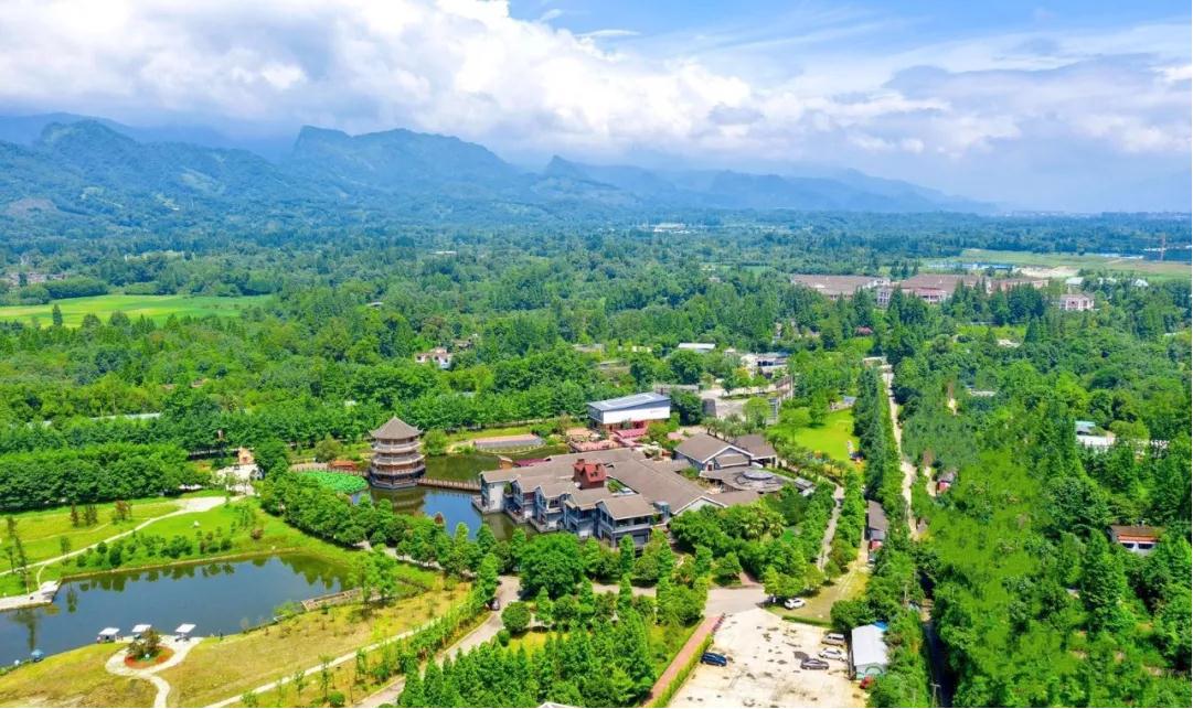 成都周边春季徒步旅游攻略,成都森林徒步旅游攻略