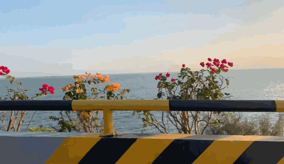 五一台州海岛,五一天气好的海岛推荐