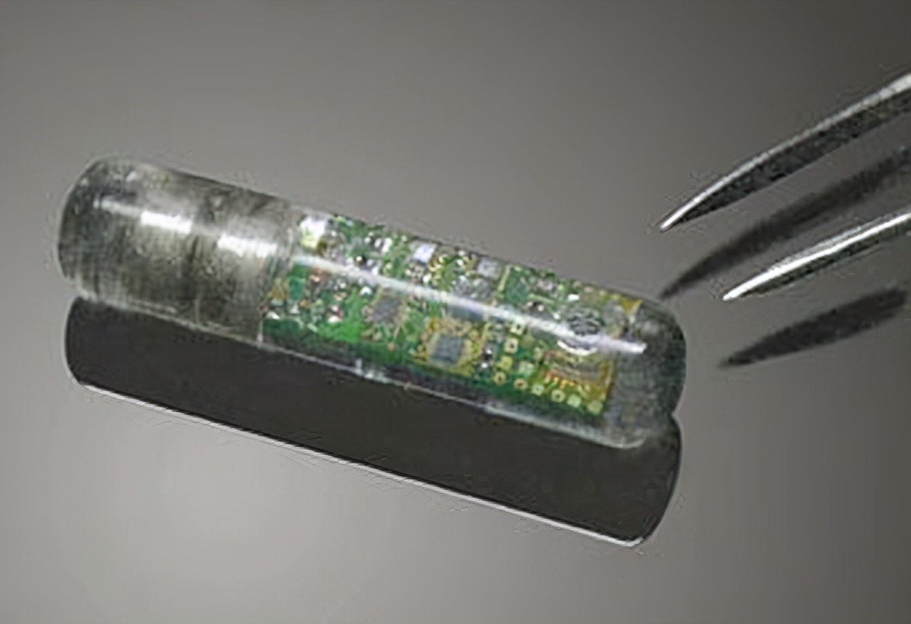 恐怖：异次元脑控正在成为现实，科学家已经能控制猴子