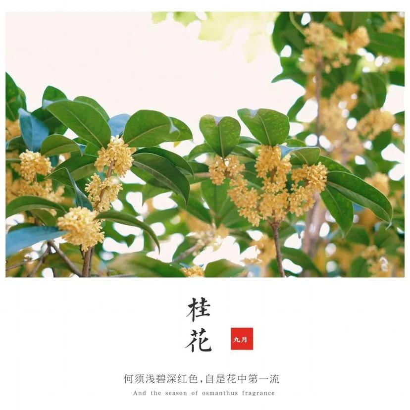 吃臭身体会变臭？吃香味食物身体就会变香？谈谈食物对体味的影响