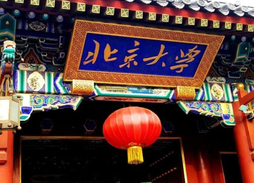 清华北大真正的实力如何,勤奋在天赋面前不堪一击王蒙