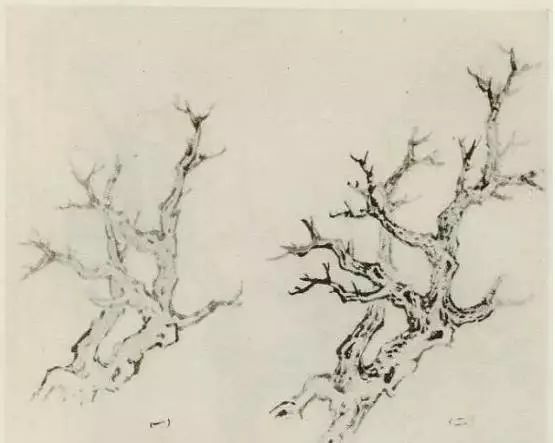 怎样画树画得好看,怎么画树最简单而且还最好看