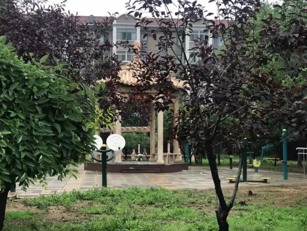 新划进光明中学的这个老小区，位置真好！还不贵