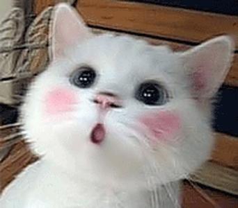 反酸烧心嗓子有异物感吃什么药,喉咙烧心反酸是咋回事