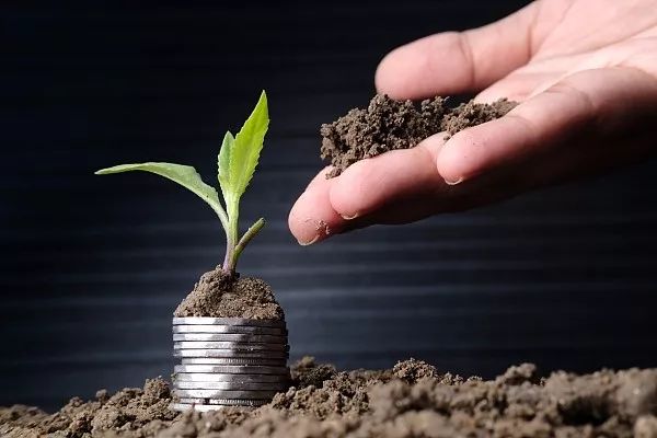 投资农业失败怎么办,想投资一个农业需要注意什么