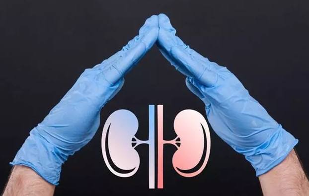 慢性肾炎(慢性肾小球肾炎)难治愈?有根治的可能吗?