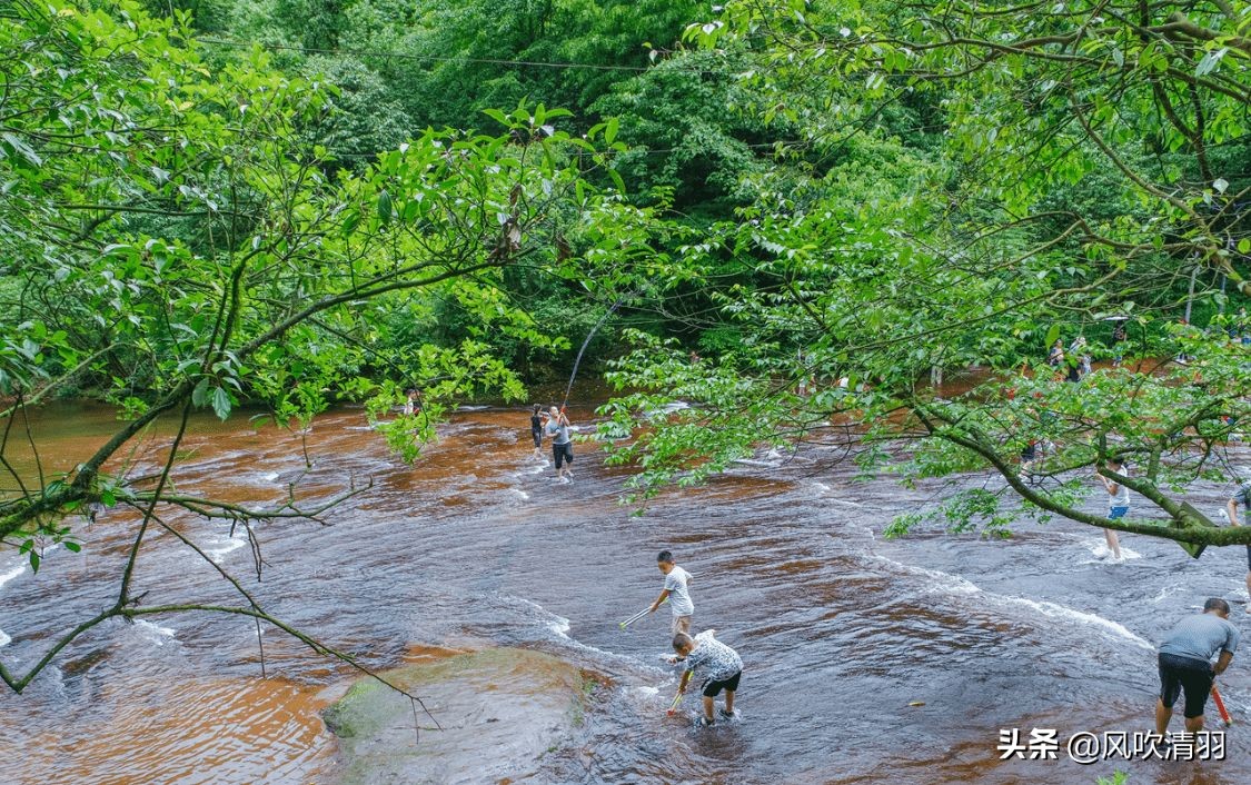周末室内避暑好去处成都市内,夏日避暑好去处成都