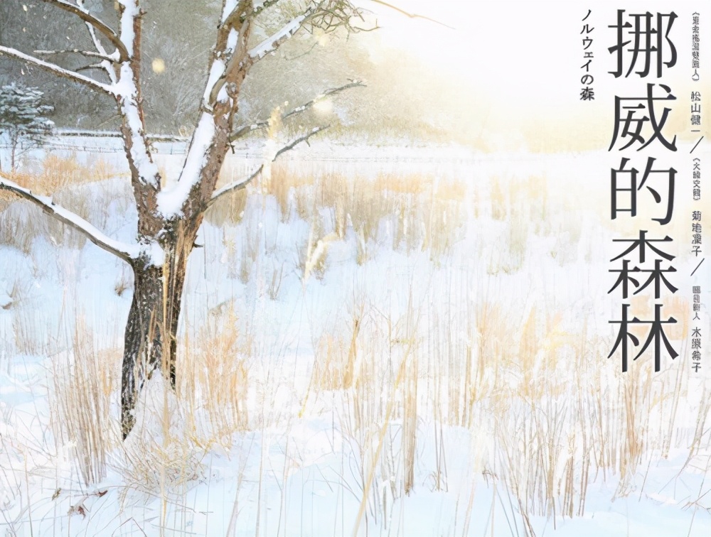 让日本伦理机构头疼的动画，回复术士被本土声讨，或将面临下架？