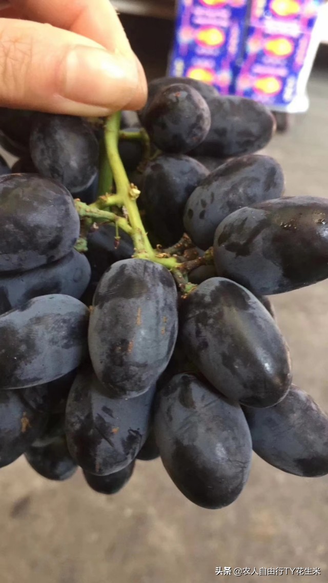 重庆双福今日国际果蔬批发价,重庆双福批发市场果蔬价格