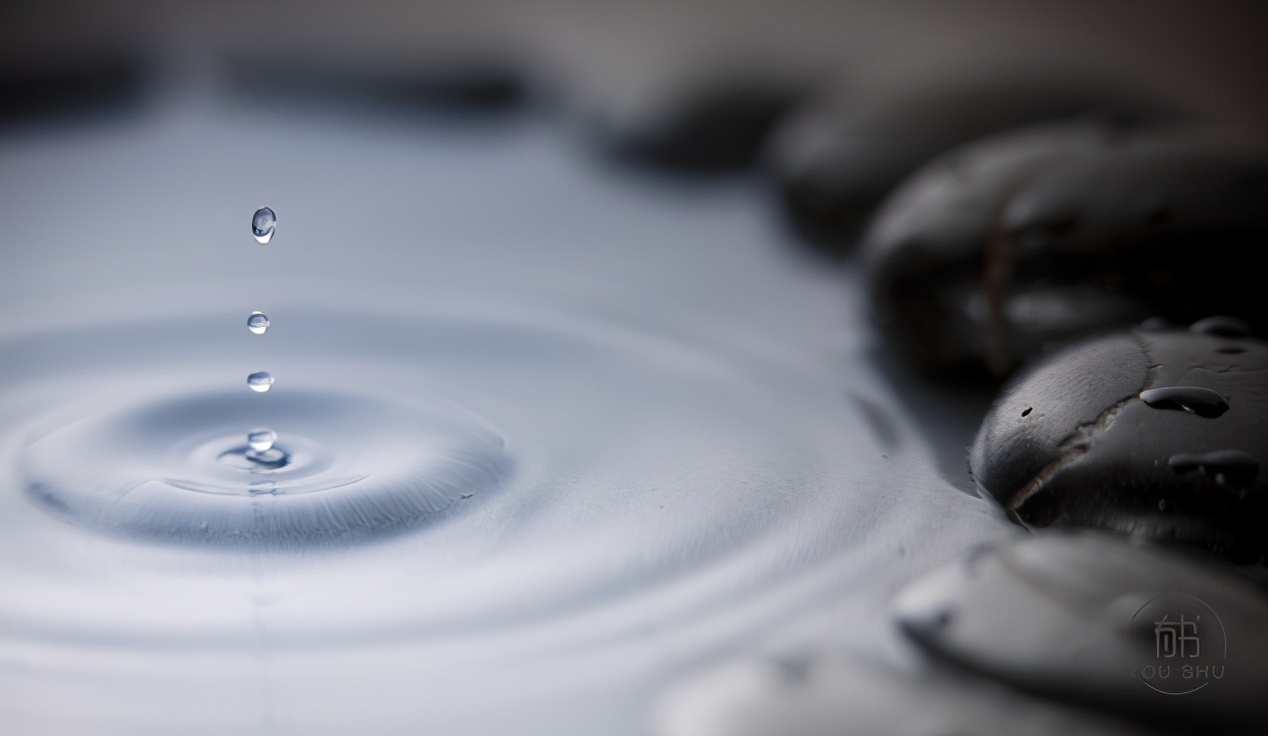 半俗半禅半随缘朗诵视频,半俗半禅半随缘原唱