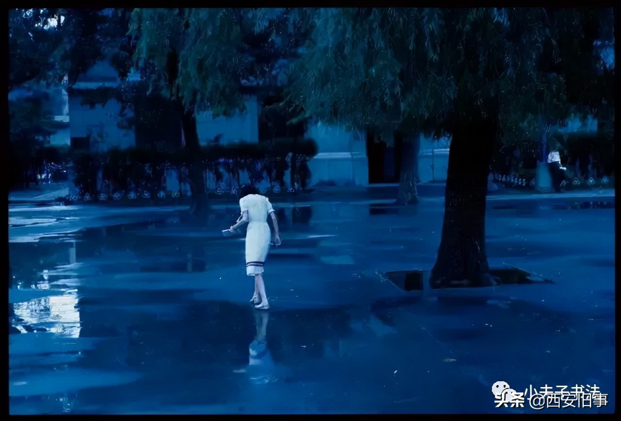 西安故事冷林:金花落与苗圃路