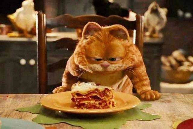 猫咪能吃哪些维生素,猫咪能吃太多营养补充剂吗