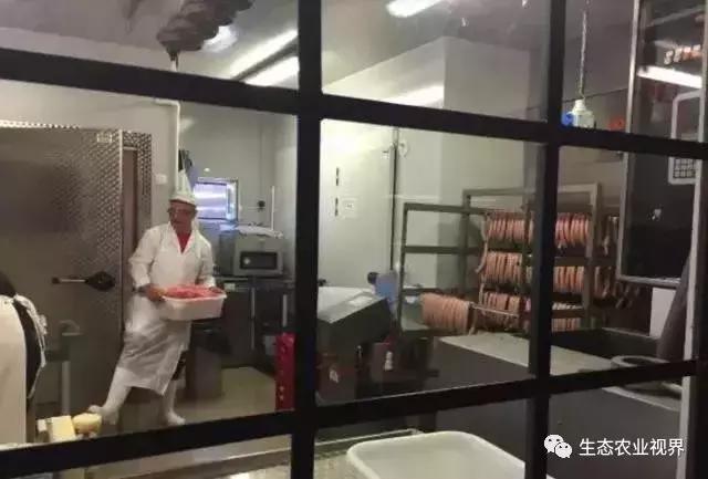 用一颗草莓吸引5百万游客,开5家主题乐园、4家超市、300个草莓屋