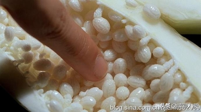 李建学,李建学最新散文