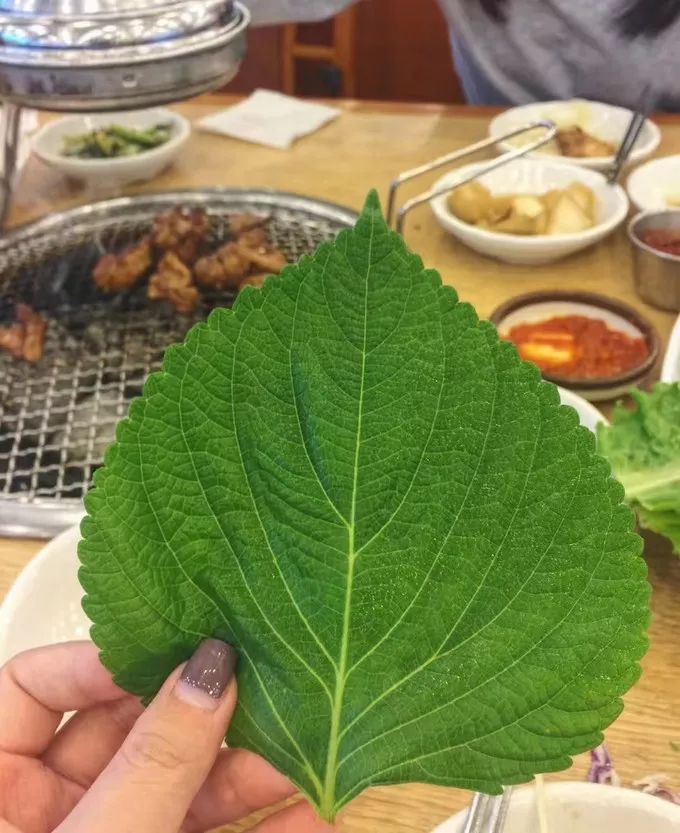 济州岛周末两日游,济州岛2天一夜跟团游