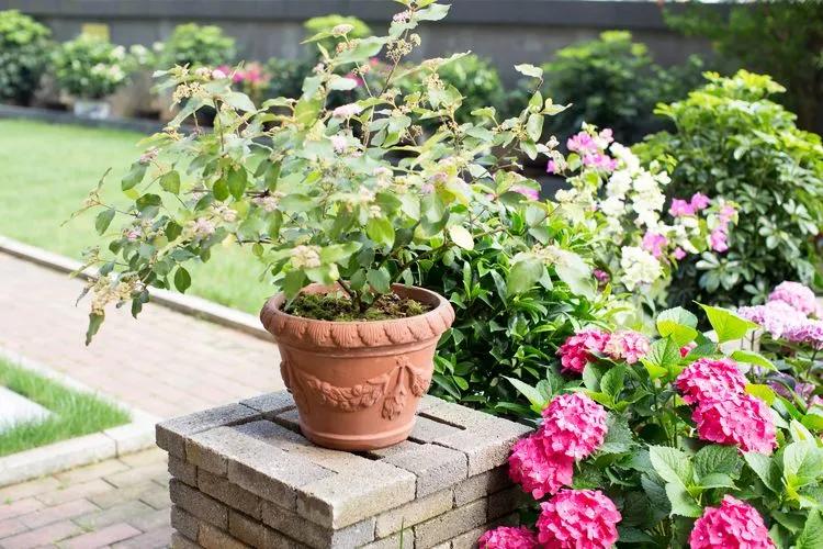 第七届园丁奖,第六届园丁奖奖励