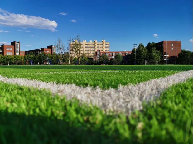 北京外国语大学附属外国语学校,北京外国语大学翻译硕士培养方案