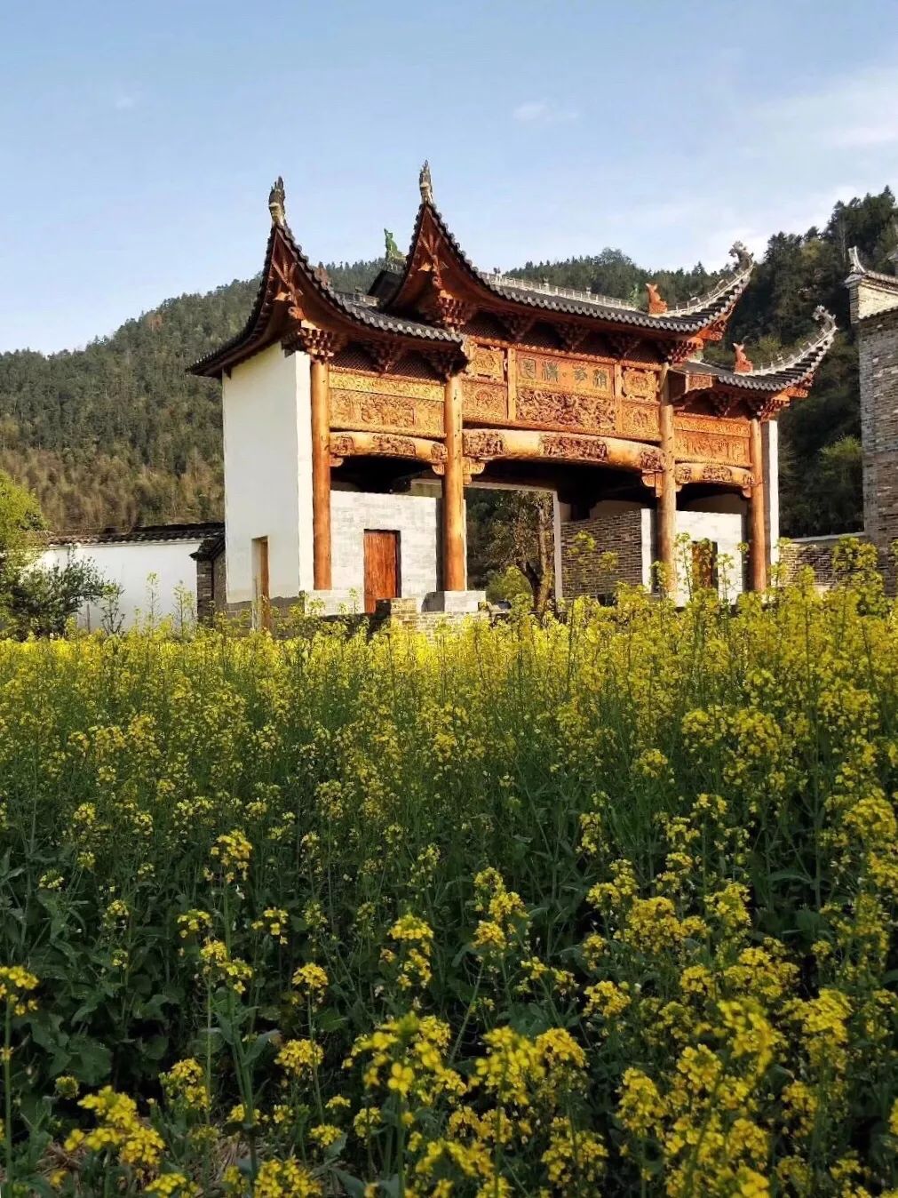 婺源清华朴园,婺源旅游攻略2日游民宿