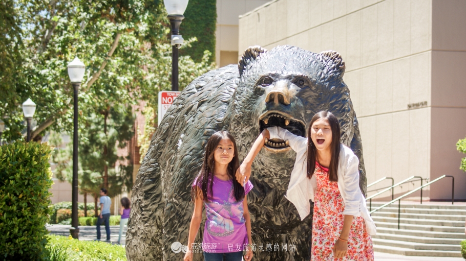 美国加州大学ucla录取条件,ucla加州大学洛杉矶分校女篮