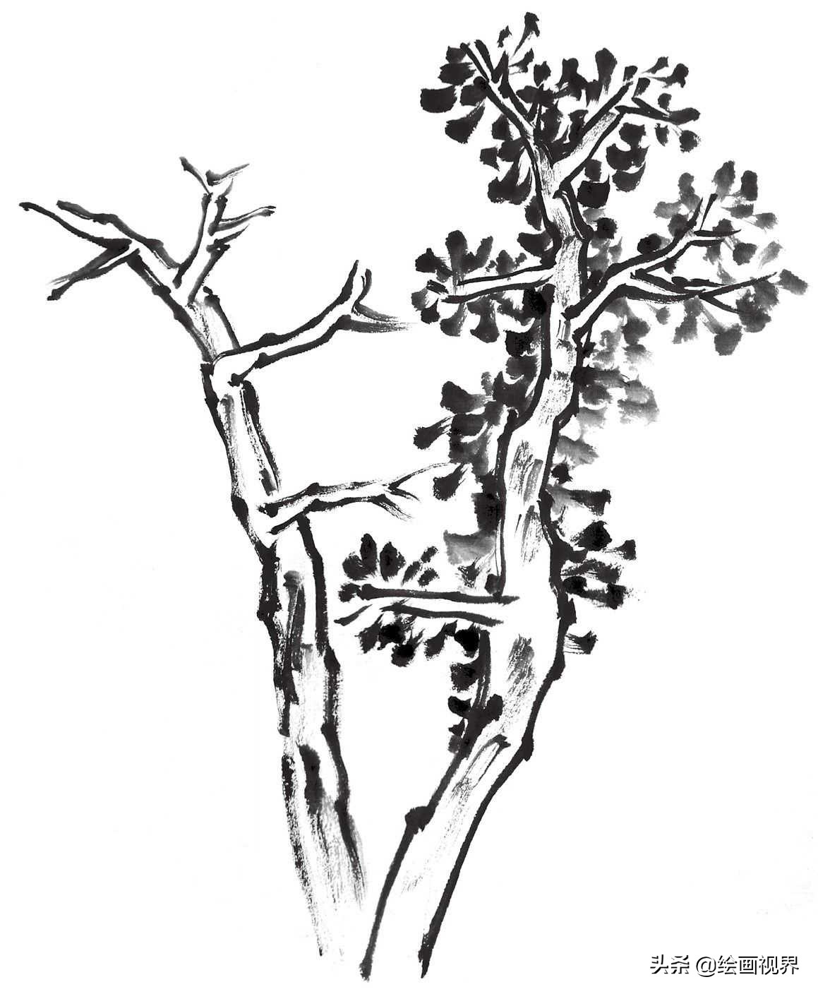 国画双钩树的画法入门,国画杂树与山石的画法图片