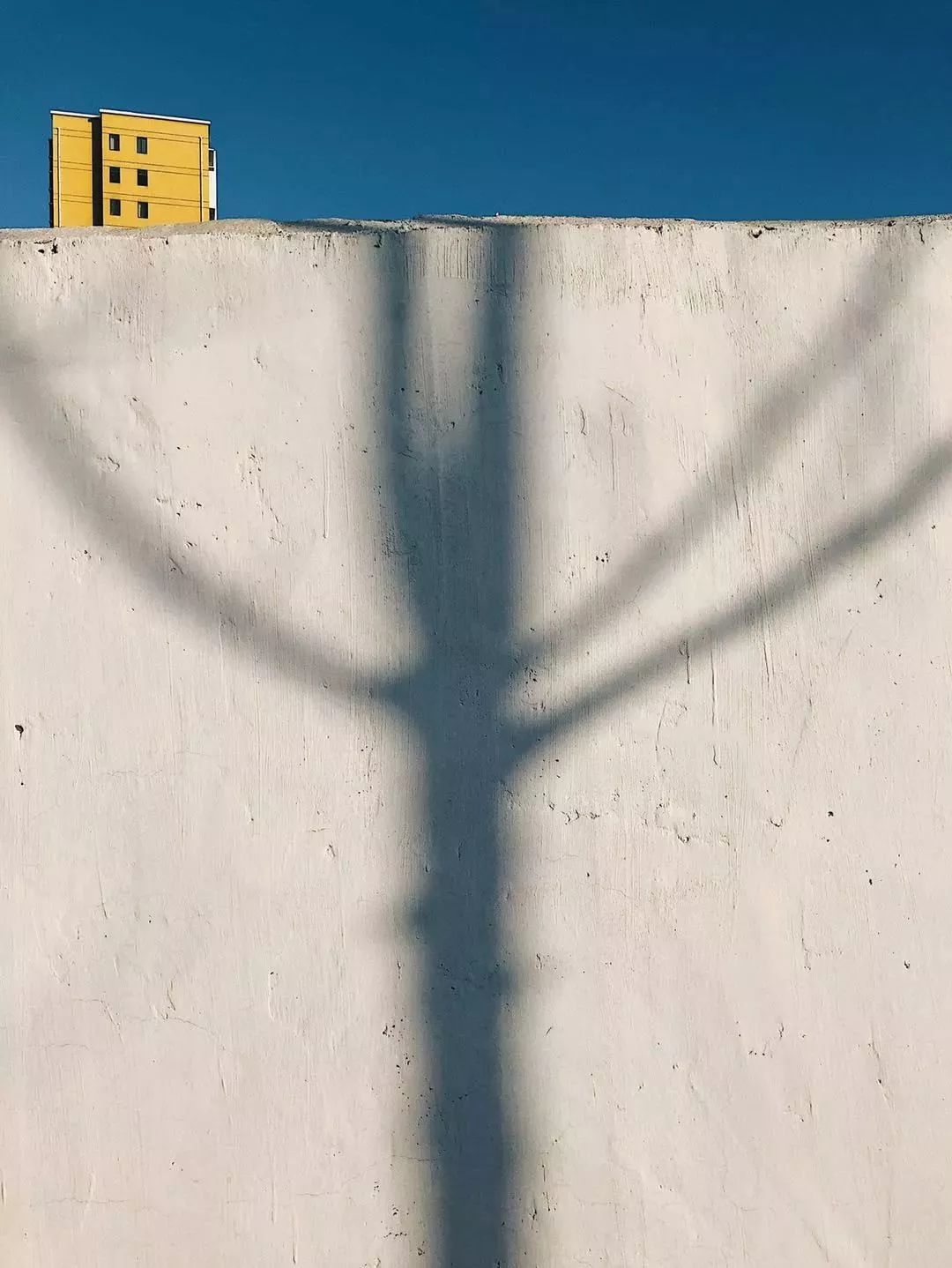 赞别人拍的照片,你用手机拍过哪些最美的照片