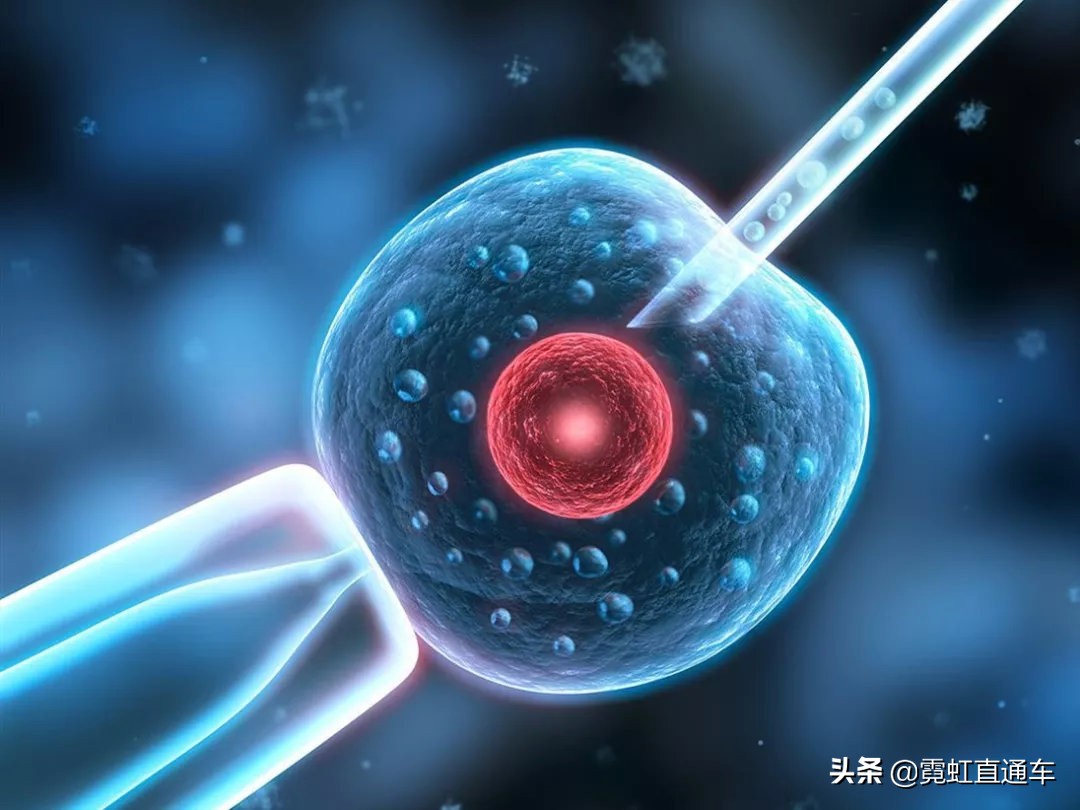 全球首例试管婴儿在哪国,日本试管婴儿有多少人