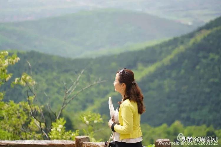 赴一场春日的邀约,五月赴一场与槐花的约会