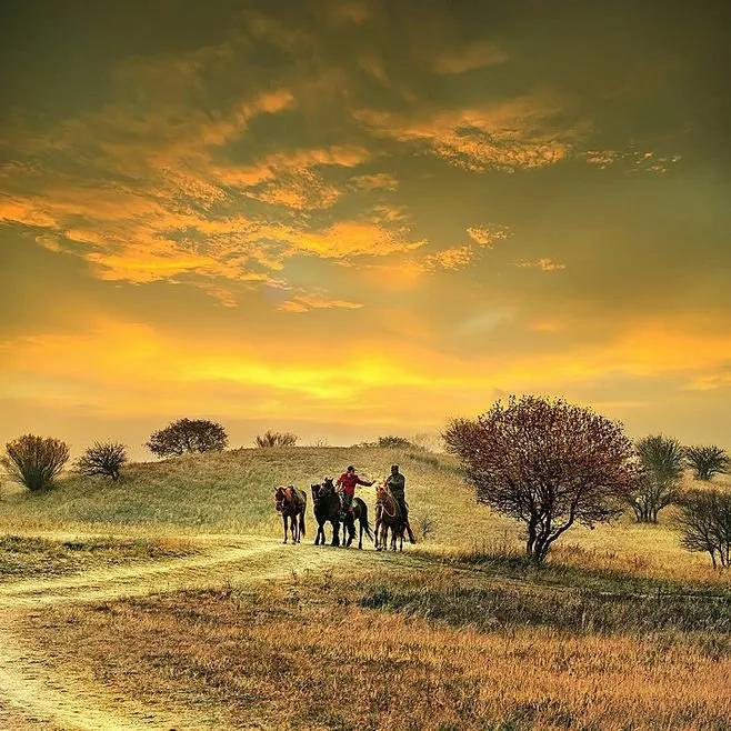 写秋韵的古诗有哪些,学生时代学过描写秋风节气的古诗