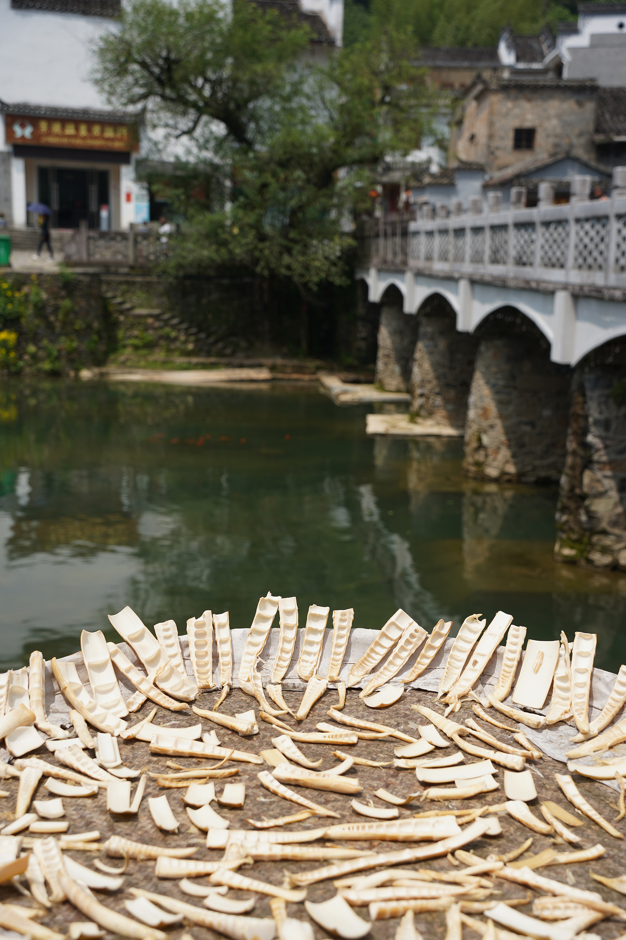 景德镇茶之源瓷之都,景德镇浮梁茶文化